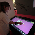 Il touchscreen, prossima frontiera del libro?