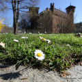 Primavera al Borgo Medievale