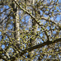 img_1946
