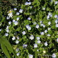 img_1965