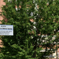 Giardino Operaie della fabbrica Superga