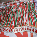 Le medaglie di Torino Capitale Europea dello Sport