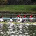 XIX Rowing Regatta