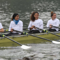 XIX Rowing Regatta