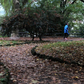 Parco del Valentino