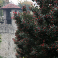 Borgo Medievale