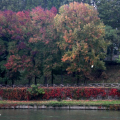 Parco del Valentino
