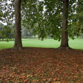 Parco della Pellerina