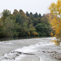 Dora Riparia - Parco della Pellerina
