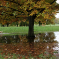 Parco della Pellerina