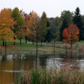 Parco della Pellerina