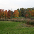 Parco della Pellerina