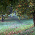 Viale Paolo Thaon di Revel