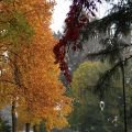 Viale Paolo Thaon di Revel
