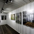 Photocontainer 2015