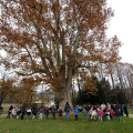 Festa dell’Albero, celebrazioni alla Tesoriera