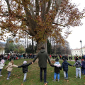 Festa dell’Albero, celebrazioni alla Tesoriera