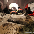 Il Museo Nazionale della Montagna ospita: Museo Olimpico. Rivive la passione