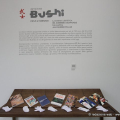 Bushi. Ninja e Samurai