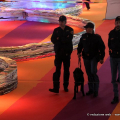 I controlli al Salone