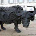 Bufale Mediterranee, Davide Rivalta - Palazzo Reale