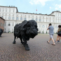 Bufale Mediterranee, Davide Rivalta - Palazzo Reale