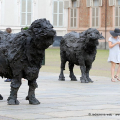 Bufale Mediterranee, Davide Rivalta - Palazzo Reale