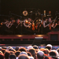L’Orchestra del Teatro Regio