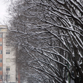 2212_neve_img_0539