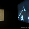 La personale di Gus Van Sant al Museo Nazionale del Cinema