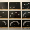 Artissima 2016
