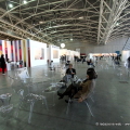 Artissima 2016