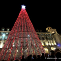 L\'albero in piazza Castello