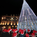 L\'albero in piazza Castello