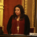 Serena imbesi, Vice Presidente del Consiglio comunale