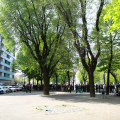 Giardino Augusto Daolio