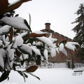 2212_neve_img_0627