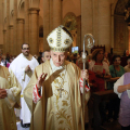 Il cardinale Severino Poletto