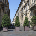 Via Garibaldi