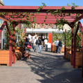 Vigne-TO, il vigneto urbano di Nizza Millefonti