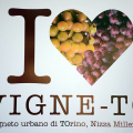 Vigne-TO, il vigneto urbano di Nizza Millefonti