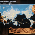 Homo Sapiens. Origini e diffusione