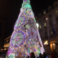 L'Albero di Natale