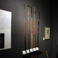 IMG_0786