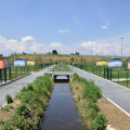 Orti urbani Falchera