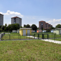 Orti urbani Falchera
