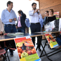 Enzo Lavolta, Vicepresidente del Consiglio Comunale