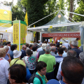 IMG_7385-copia
