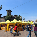 IMG_7452-copia