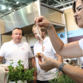 Terra Madre - Salone del Gusto